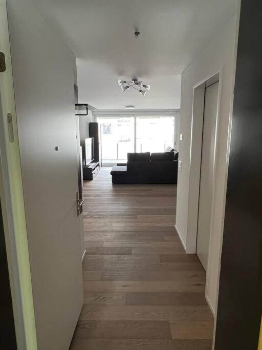 Brand New Apartment Surrounded By Nature Schattdorf Екстер'єр фото